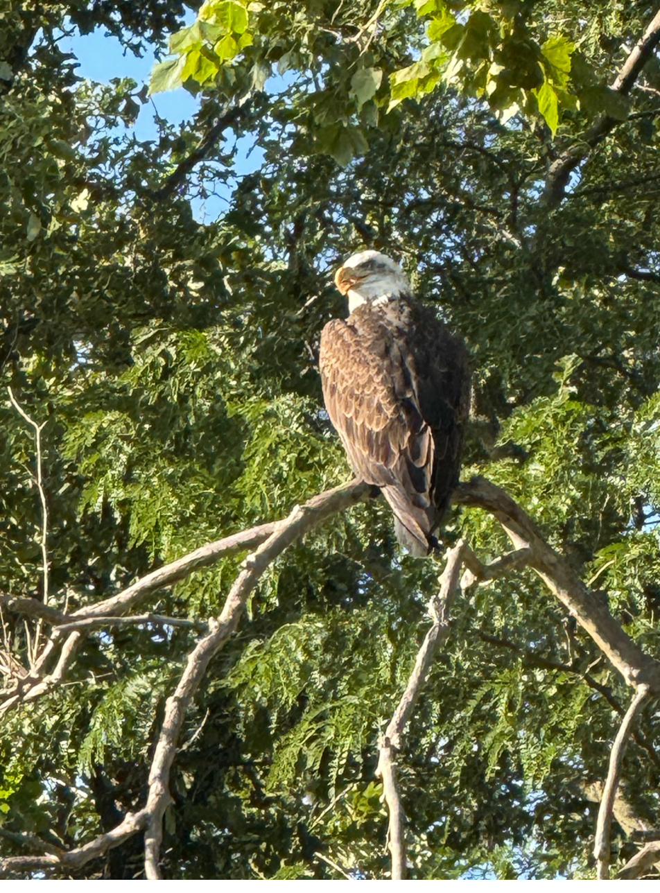 Route 66 attraction in Pontiac, Illinois